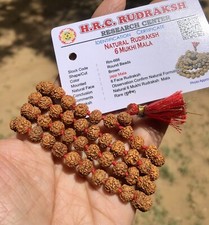 LAB CERTIFIÉ 6 perles de prière Mukhi RUDRAKSHA Rudraksh Mala ROSARY 108 + 1 ...