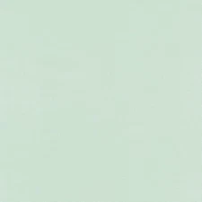 Kona Cotton Solids Desert Green Robert Kaufman Fabric Print by the Yard D146.33