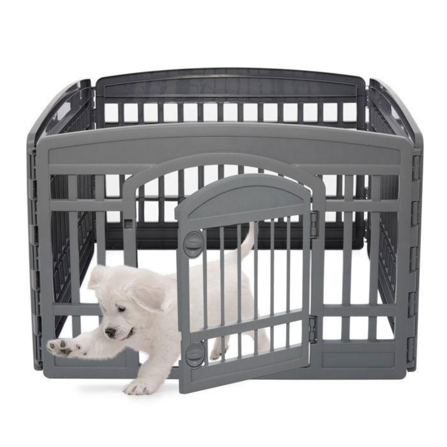 Parc chien Iris Ohyama 60cm pour éducation chiot et propreté intérieur