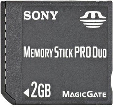 2 GB Memory Stick PRO Duo Memory Card MSX-M2GS
