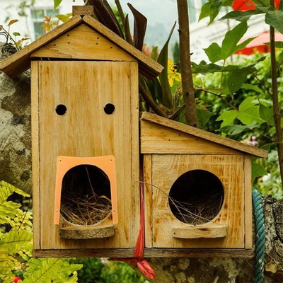 10 Stück Brieftaubenhaus Tür nur rein aber nicht raus für Haustier Vogelhaus