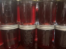Organic  Elderberry & Cranberry Jelly 8oz Jar...