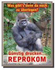 100 profesjonalnych plakatów nadruk A3 (różne Szablony!)