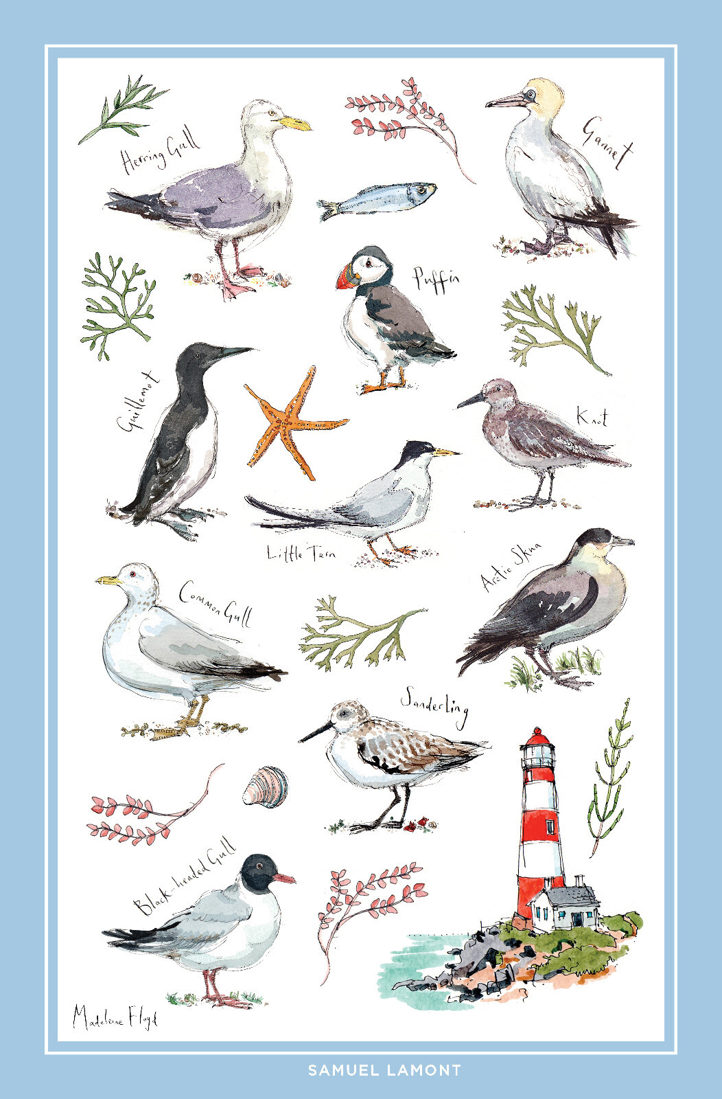 MF Coastal Birds cotton tea towel Samuel Lamont bird tea towel Mad Floyd