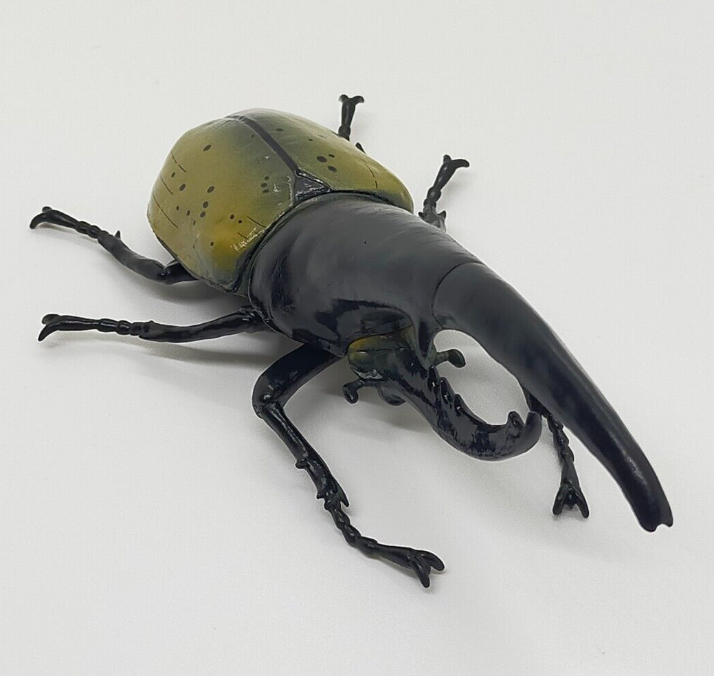 SO-TA Gashapon Dynastes Hercules Beetle 6.8in Realistic Insect Full-scale Figure