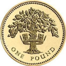[COIN HUNT] British Round £1 Pound Coin (Circulated, Rare, Collectable)