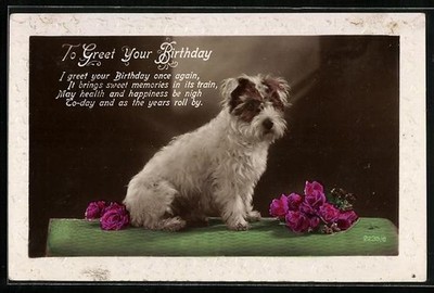 Ansichtskarte Terrier mit Rosen, Gedicht, Geburtstagsgruß 