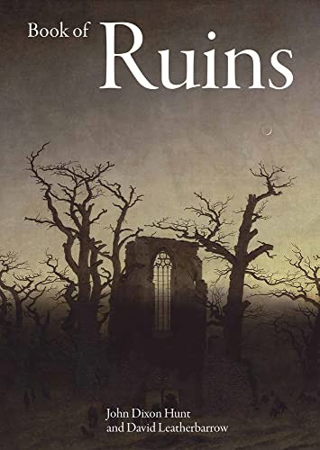 Book of Ruins.by Hunt, Leatherbarrow  New 9781848225558 Fast Free Shipping**
