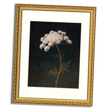 Atterrirart Gold Framed Flower Wall Art, 13  16 Inch, 13 16inch Rustic Flower