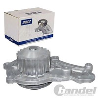 Dolz Wasserpumpe MIT Riemenscheibe Passend FüR CitroËN C1 C2 C3 DS3 Nemo Xsara F