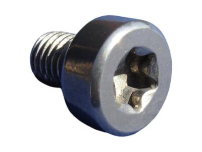 Zierschraube M7X10 Innen Torx T40 Edelstahl blank Schrauben Dummy für Alufelgen