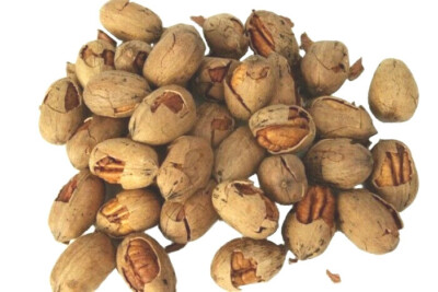 Texas -Cracked- Pecans with Shell | 3 lb, 5 lb or 10 lb Bag | Millican Pecan TX