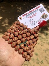 LABORZERTIFIZIERT 7 Mukhi RUDRAKSHA Rudraksh Mala ROSENKRANZ 108 + 1 Perlen G...
