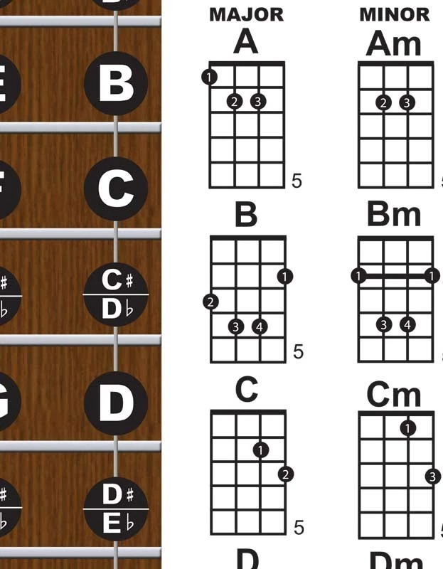 Laminated Tenor Banjo 4 String Fingerboard Wall Chord Chart Poster Notes Chords - Image 4 of 4