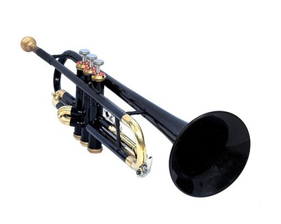 Bb Standard Trumpet BLACK BRASS Finish  Valves with Case and Mouthpiece sale