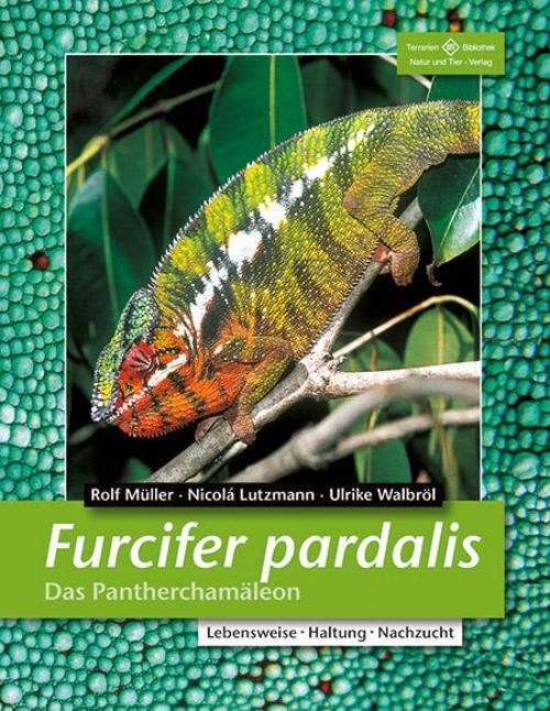 Furcifer Pardalis. Das Panterchamäleon Rolf Müller