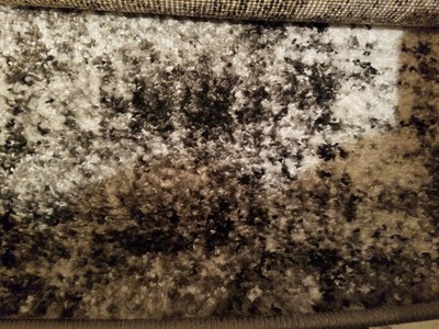 Surya Pei1006 23 Pepin Area Rug Charcoal Black Cream Um Gray - Cream And Black Area Rugs Surya Pei1006 23 Pepin Area Rug Charcoal Black Cream Um Gray - Cream And Black Area Rugs