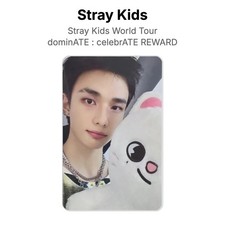 Stray Kids World Tour dominATE : celebrATE REWARD Official KPOP Special Gift