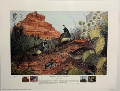 Less Kouba Gambel's  Quail At Bell Rock  Signed / Numbered  Image Size 19''x12.75
