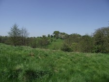 Photo A2 Grassland behind St. Leonard's church Brockhall Village From a  c2012