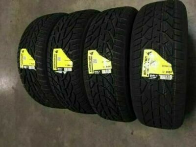 Winterreifen 195/65 R15 91H 3PMSF KORMORAN by Michelin Citron C4 Cactus  3528700044973 | eBay.de