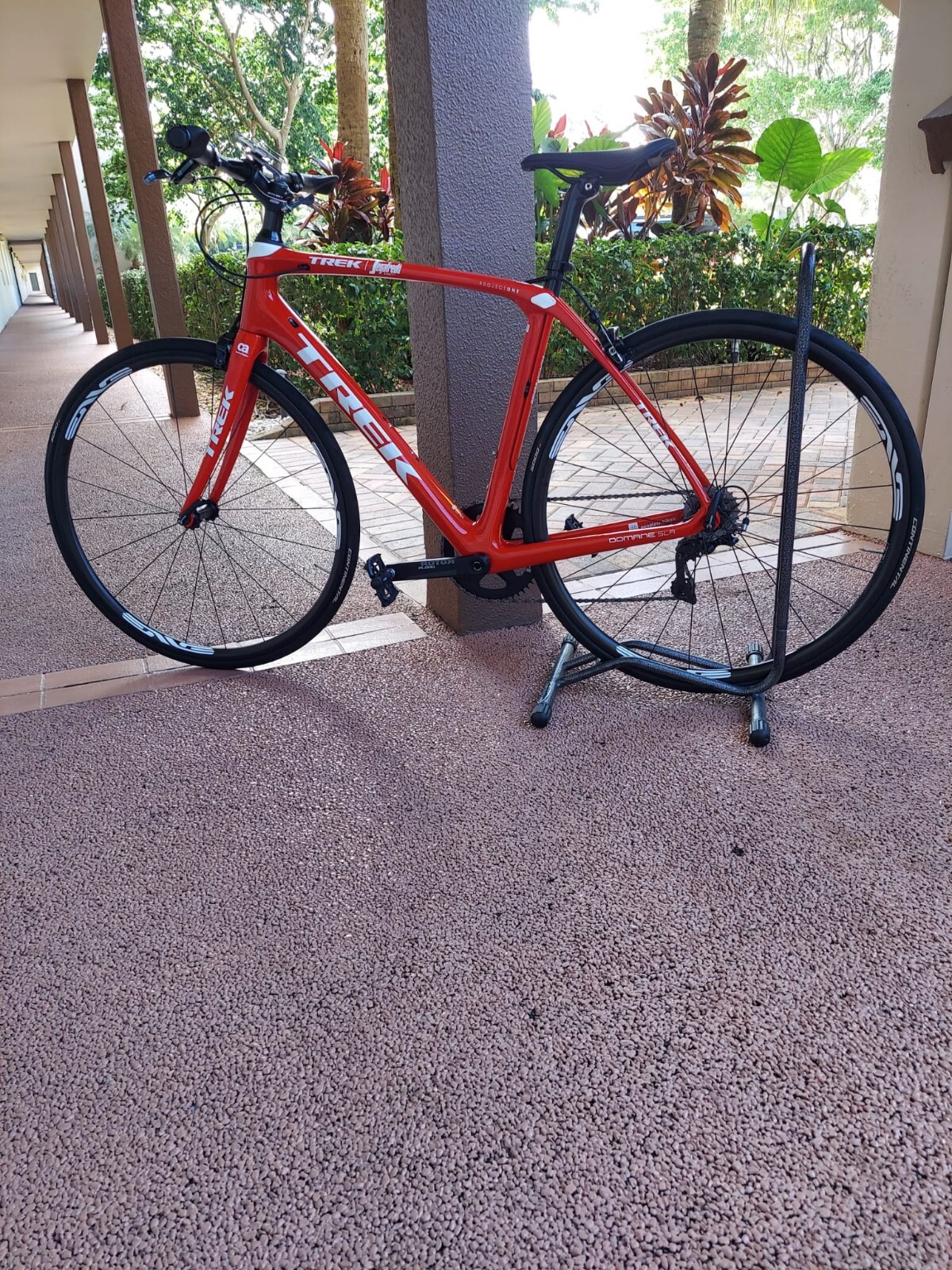 2019 TREK Domane SLR 6 Segafredo Team Edition  54cm