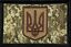 thumbnail 1  - Ukrainian Army Subdued Ukraine Morale Patch ARMY MILITARY Tactical Badge Hook