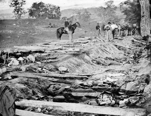 Battle of Antietam - Confederate Dead Sunken (Bloody) Lane 8x10 Civil War Photo