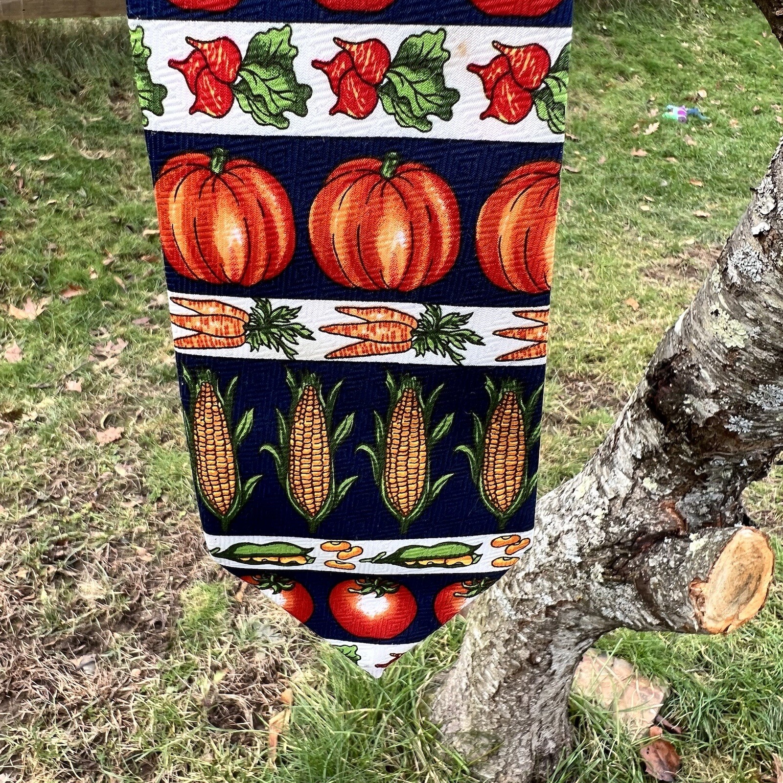 Kissa New York Novelty Tie Fall Harvest Pumpkins Corn Tomatoes