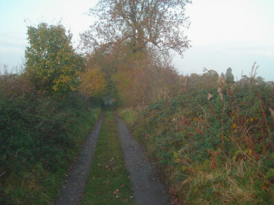 Photo 6x4 Farm track on the Ombersley Estate Holt Fleet Looking north-eas c2008