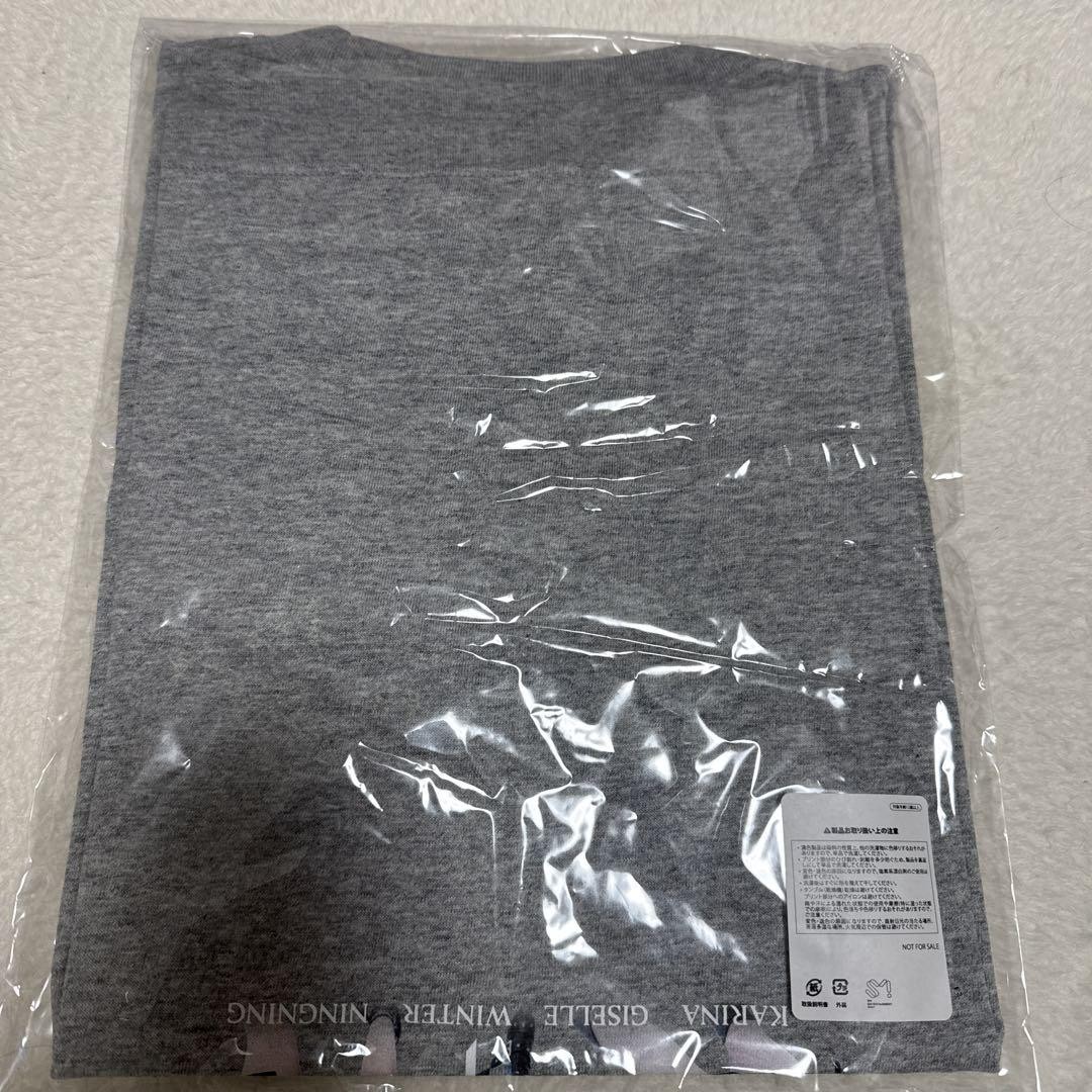 Aespa Tokyo Dome T-Shirt M Gray Limited 200 Winners Warner