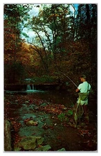 The Homestead, Hot Springs, Virginia, Cascades Trout Stream