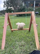 Chicken Swing