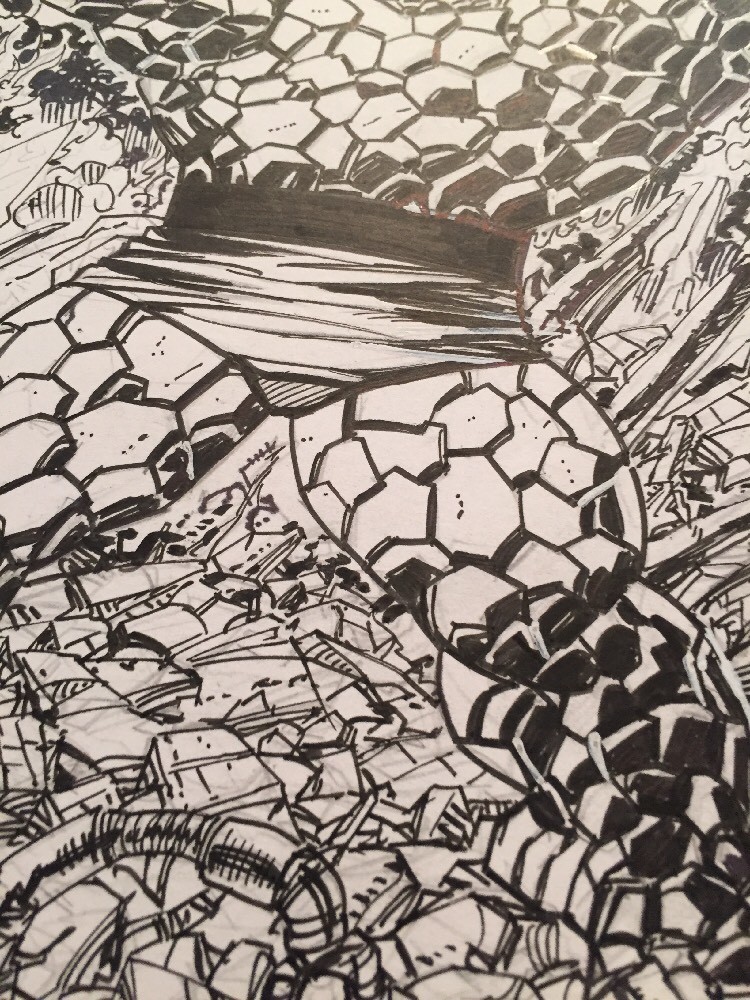 Picture 5 of 12