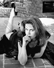 "Elizabeth Montgomery": by Dr. Shrinker, artist giclee poster print, Bewitched