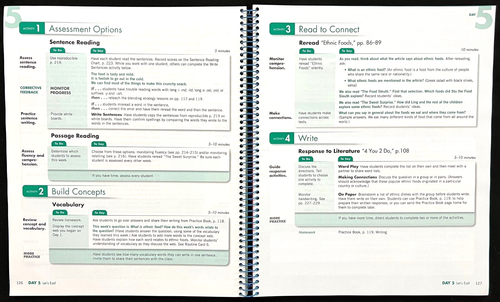 3rd - MY SIDEWALKS ON READING STREET (Vol 2, Units 4-6, Level C) TEACHER EDITION - Picture 9 of 13