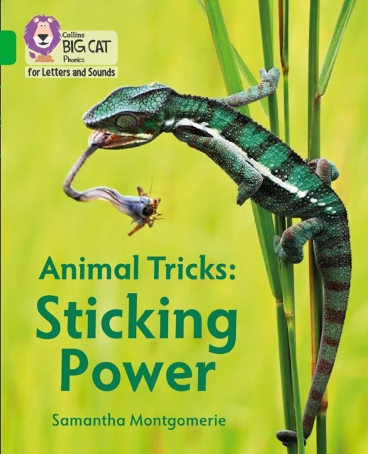 Animal Tricks: Sticking Power by Samantha Montgomerie, Colli... - - Image 3