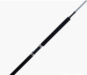 Penn Prevail Rod | eBay