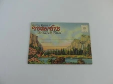 Vintage YOSEMITE NATIONAL PARK Postcard Album BOOK With Mini Cards