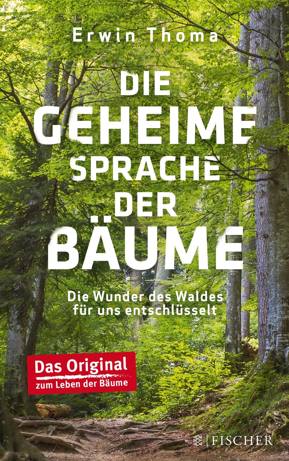 Thumbnail - Die Geheime Sprache Der Bäume, Erwin Thoma