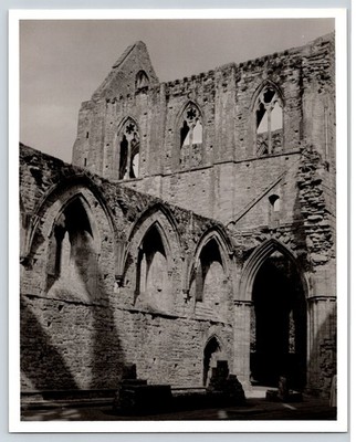 Vintage 8x10 B&W Gelatin Silver Print Gothic Ruins Architecture Photo