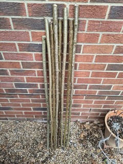x8 Fresh Cut Hazel Walking Stick Shanks