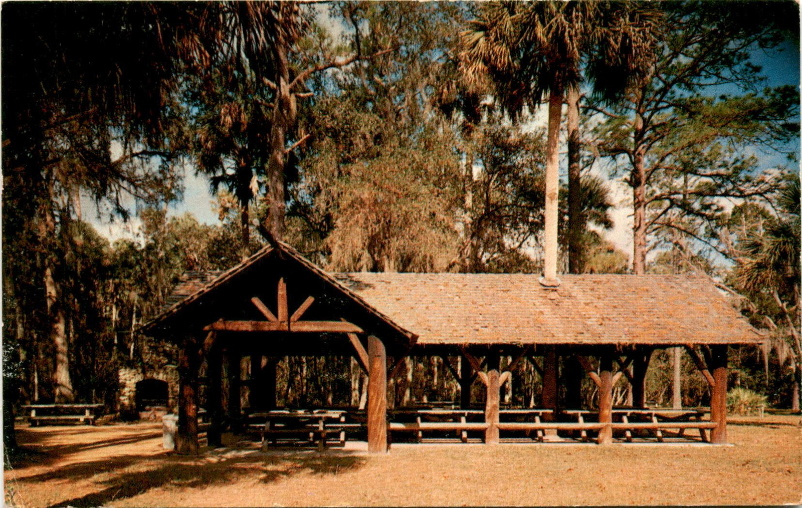JUNIPER SPRINGS RECREATION AREA, OCALA NATIONAL FOREST, FLORIDA Postcard