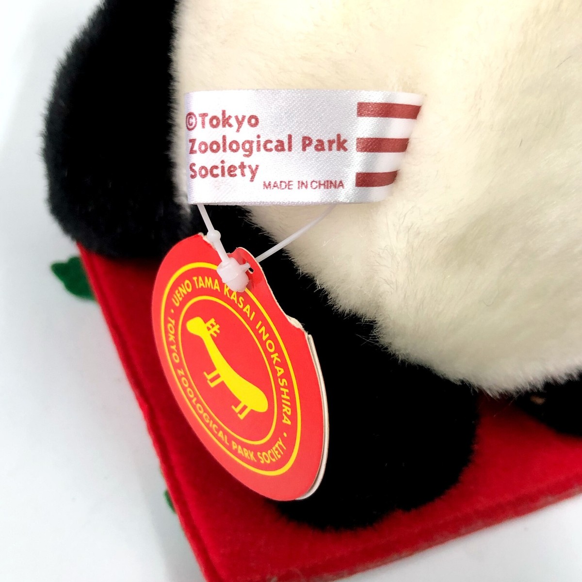 Ueno Zoo Panda Plush Frame Art Tama Kasai Tokyo Zoological Park