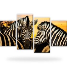 Zebra Tiere Afrika Dünen Wandbilder auf Leinwand Fotodruck