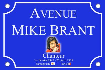 REPLIK STRAßENSCHILD Mike BRANT aus ALU 30X20cm NEU
