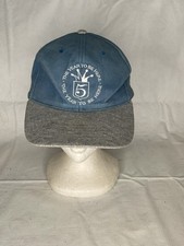 Official Disneyland Paris  The Year To Be Here 5  Baseball Hat Blue  Grey