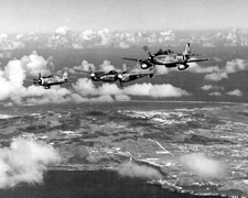 North American P-51 Mustang World War II WWII WW2 8x10 Photo 373c