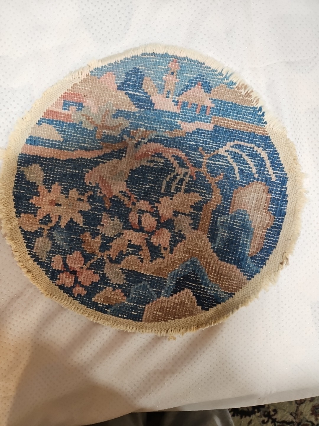 Picture 5 of 5