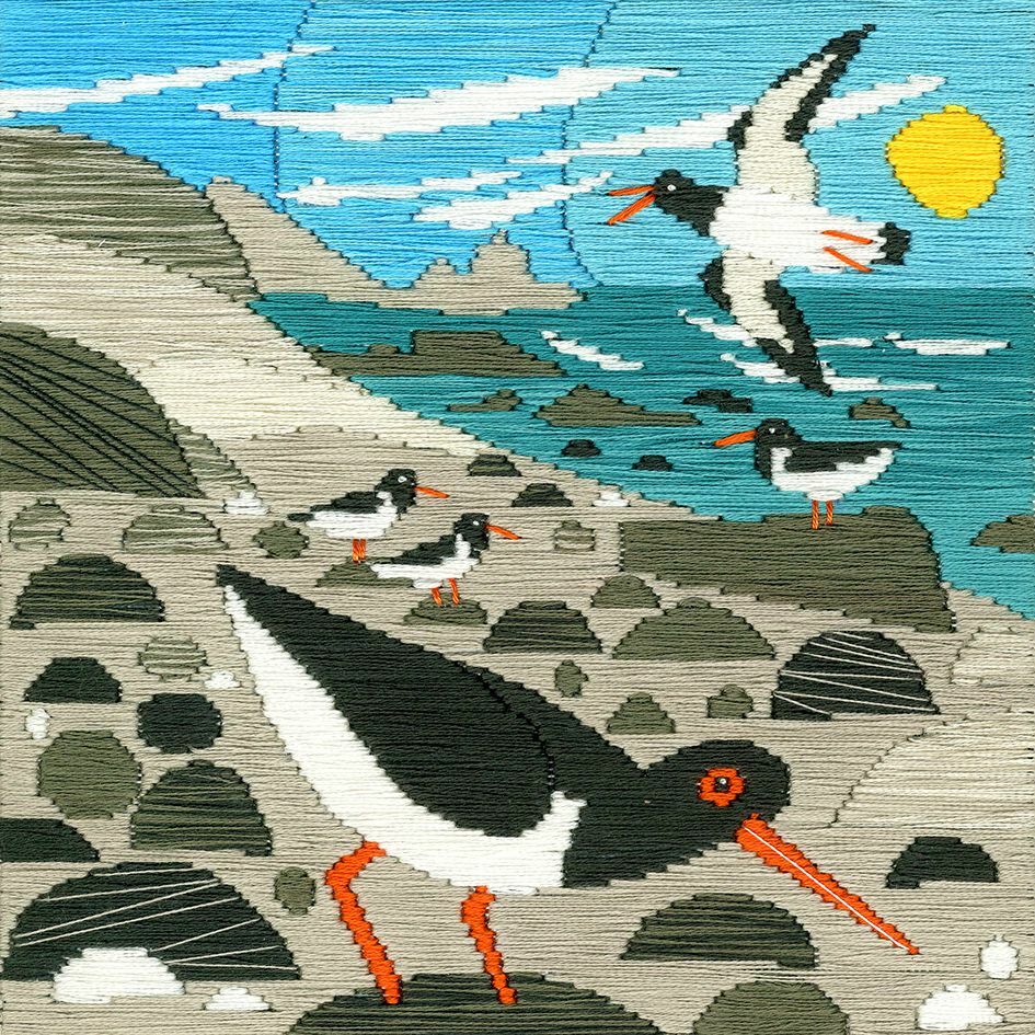 Bothy Threads Long Stitch Kit - Silken Scenes - Oystercatchers, Bird